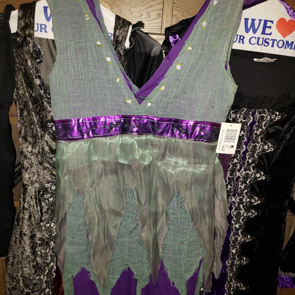 Halloween fairy costume